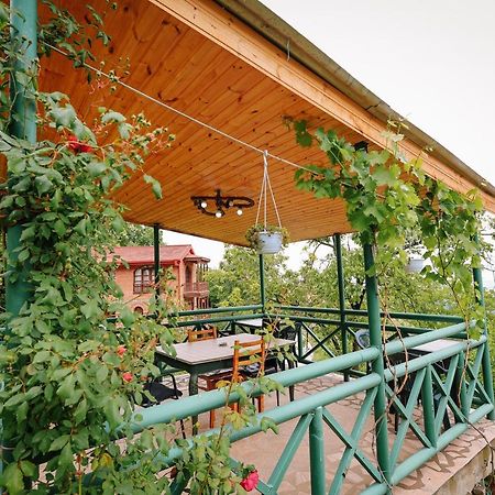 Guest House Evdoshvili St N5 Сігнагі Екстер'єр фото
